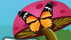 free : Colorful Butterflies