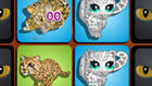 Big Cats Memory Game