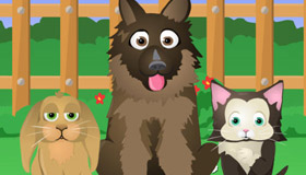 Which Pet Should You Get?
