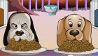 Girls Games: Dog Competition