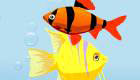 Girls Games: Fish Shop