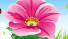 decoration : Flower decorating game