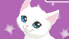 Kitten Care