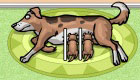 Girls Games: Adorable Puppy Game