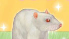 Mighty Mouse Game