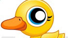 B Duck 