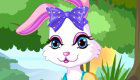 dress up : Cute Animal Game for Girls 