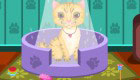 free : Care for a pet cat - 11