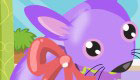 Girls Games: Pet Chinchillas