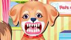Puppy at the Dentist