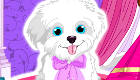 Free Pet Game for Girls