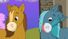 Girls Games: Horse Spot the Difference
