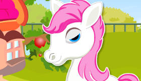 Pony Daycare