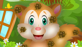 Cute Squirrel Game
