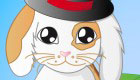 dress up : Pet Rabbit Game