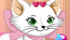 Girls Games: Dress Up a Cat