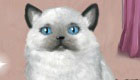 Girls Games: Cat Game