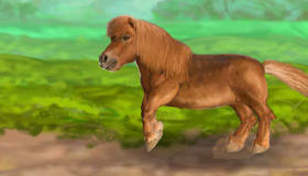 free : My Pet Horse