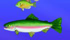 Girls Games: Fish in the Ocean