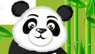 Girls Games: Caring For Pandas
