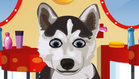 Petz Club