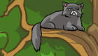 Grumpy Cat Game