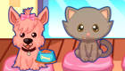 Animal Center