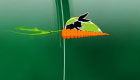 free : Bugs Bunny games