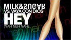 Music : Milk & Sugar vs. Vaya Con Dios - Hey (Nah Neh Nah)