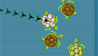 free : The Turtle’s Swimming Pool - 11