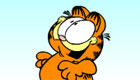 Garfield the cat