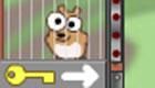 Girls Games: Hamtaro