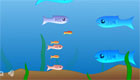 free : Aquarium game