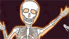 Girls Games: The Human Skeleton