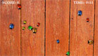 free : bug insect games - 11