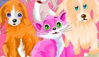 Grooming Pet Game