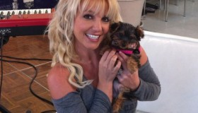Britney goes Canine Crazy!