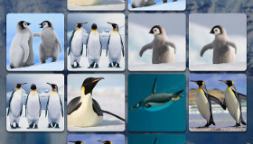 Penguin Brain Game